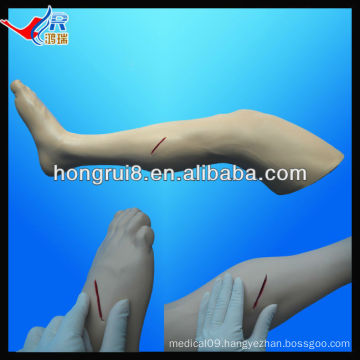 Lifelike shape and realistic touch suture training model